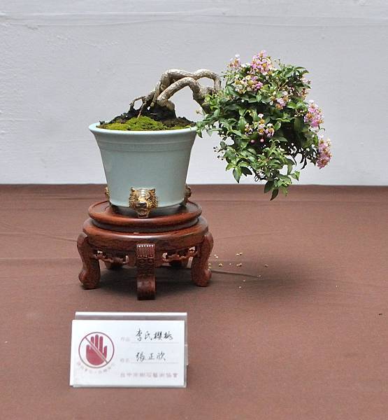 2024台中樹石展_153.JPG
