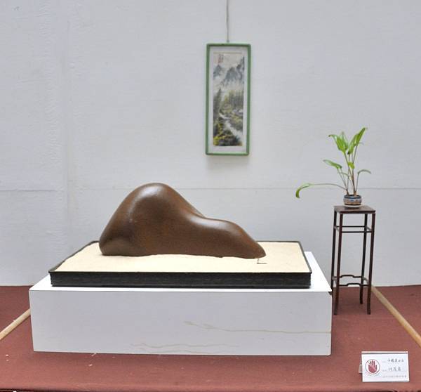 2024台中樹石展_169.JPG