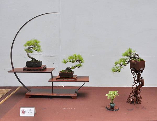 2024台中樹石展_168.JPG