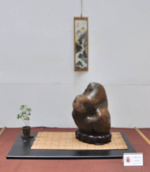 2024台中樹石展_171.JPG