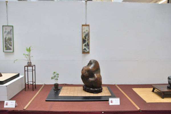 2024台中樹石展_170.JPG