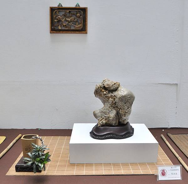 2024台中樹石展_177.JPG