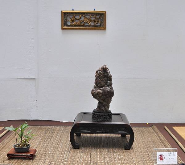 2024台中樹石展_176.JPG