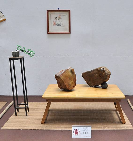2024台中樹石展_179.JPG