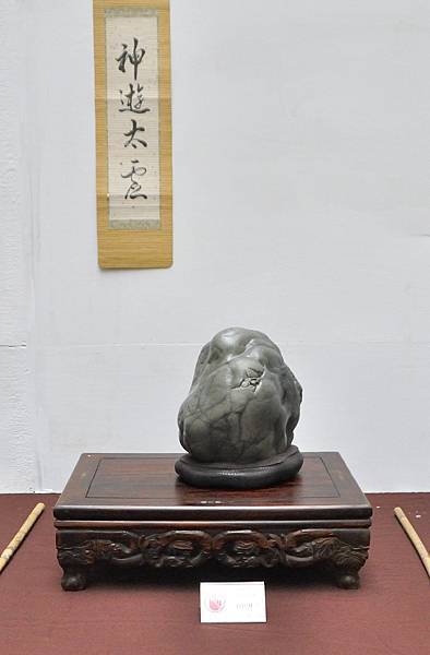 2024台中樹石展_187.JPG
