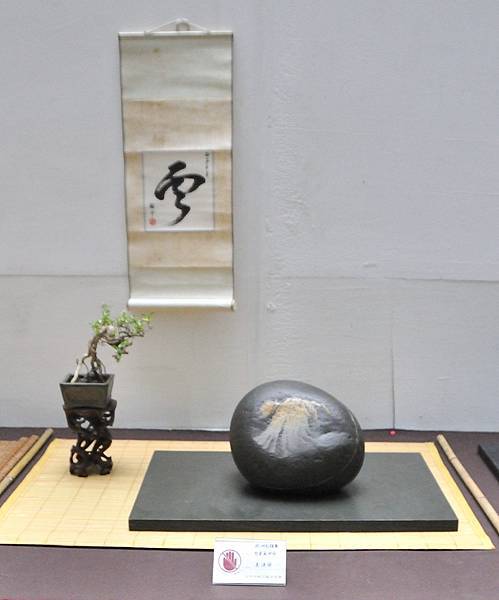 2024台中樹石展_199.JPG