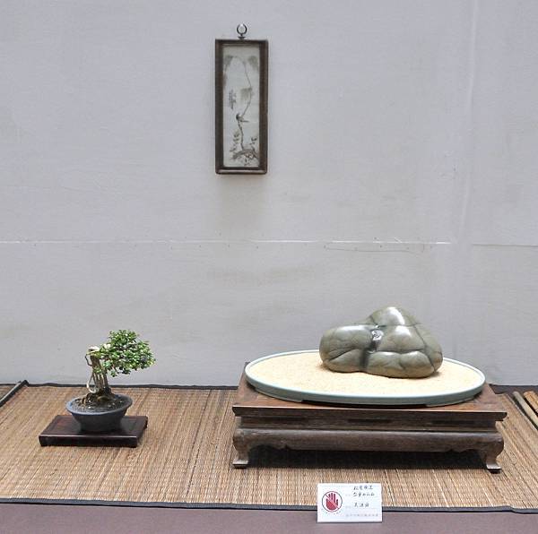 2024台中樹石展_201.JPG