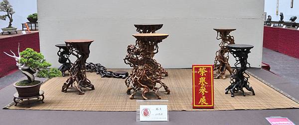 2024台中樹石展_204.JPG