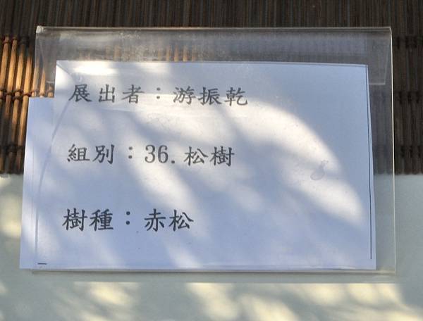 2025台中盆栽展_006.JPG