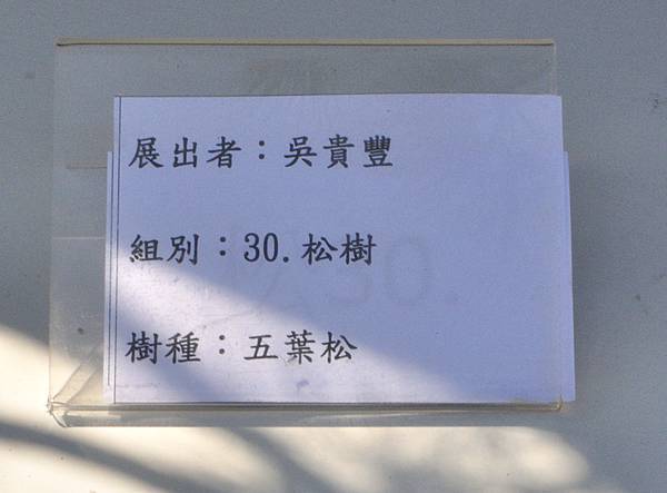 2025台中盆栽展_016.JPG