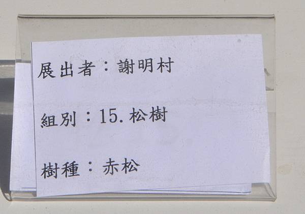 2025台中盆栽展_029.JPG