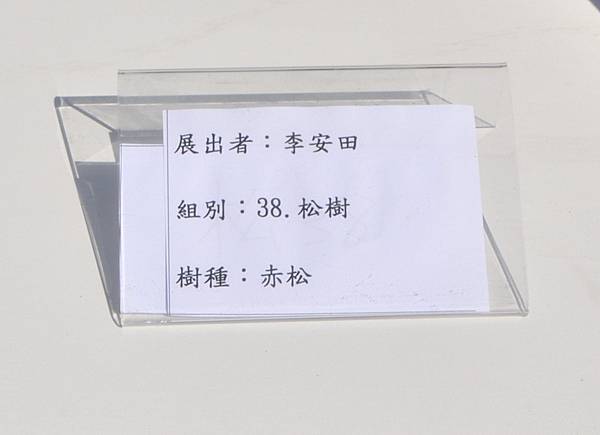 2025台中盆栽展_060.JPG
