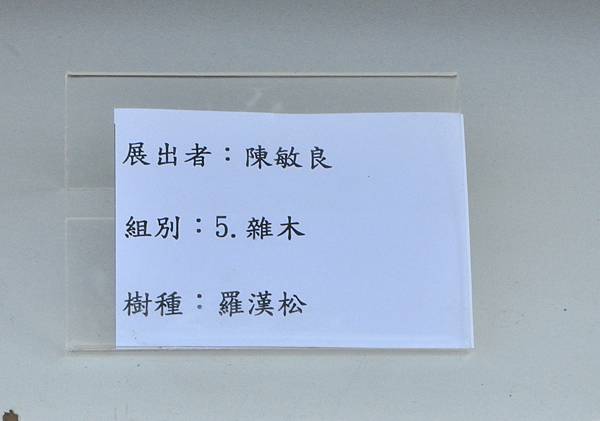 2025台中盆栽展_070.JPG