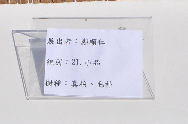 2025台中盆栽展_080.JPG