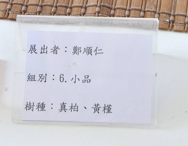 2025台中盆栽展_085.JPG