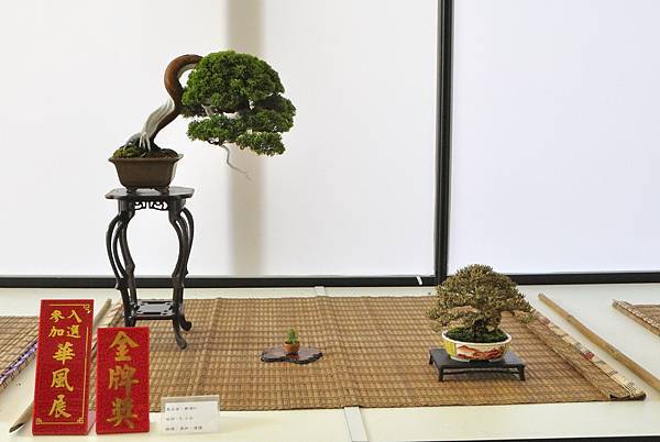 2025台中盆栽展_084.JPG
