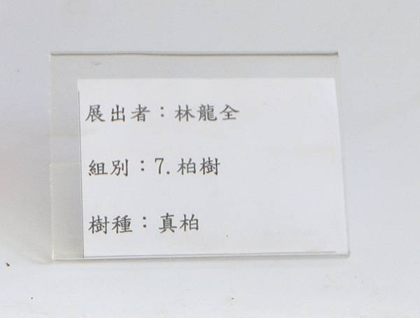 2025台中盆栽展_090.JPG