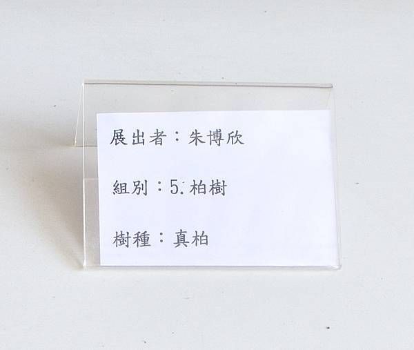 2025台中盆栽展_099.JPG