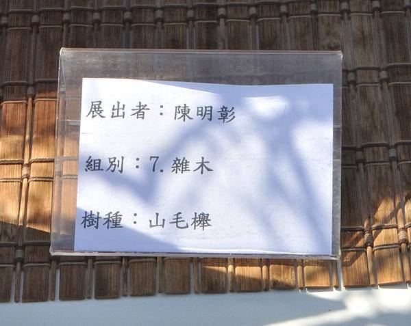 2025台中盆栽展_107.JPG