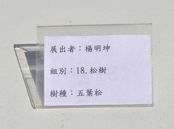 2025台中盆栽展_111.JPG