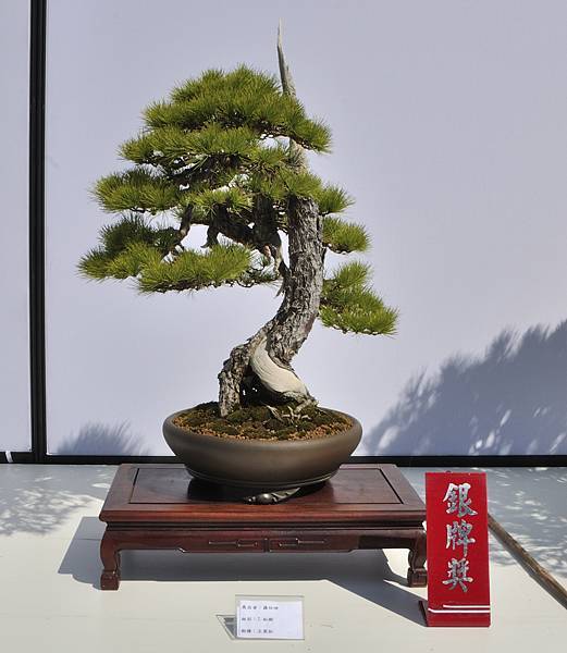 2025台中盆栽展_114.JPG