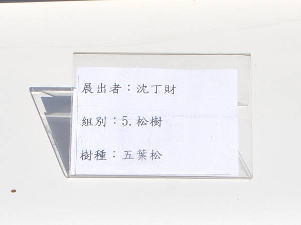 2025台中盆栽展_119.JPG