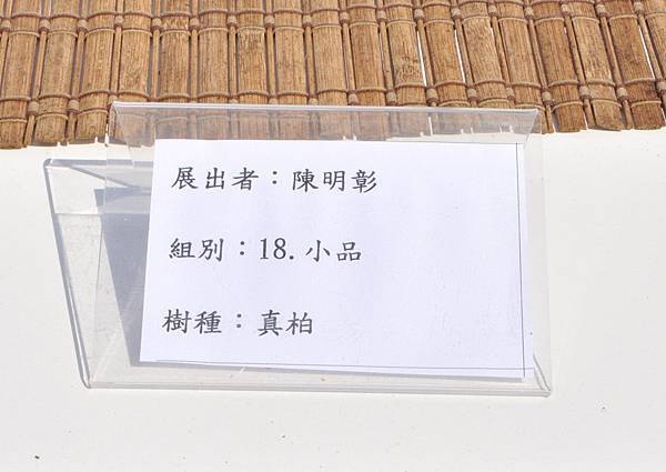 2025台中盆栽展_127.JPG