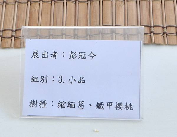 2025台中盆栽展_130.JPG