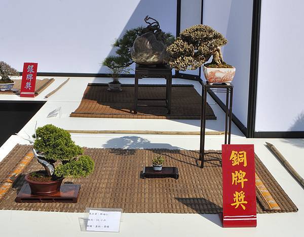 2025台中盆栽展_143.JPG