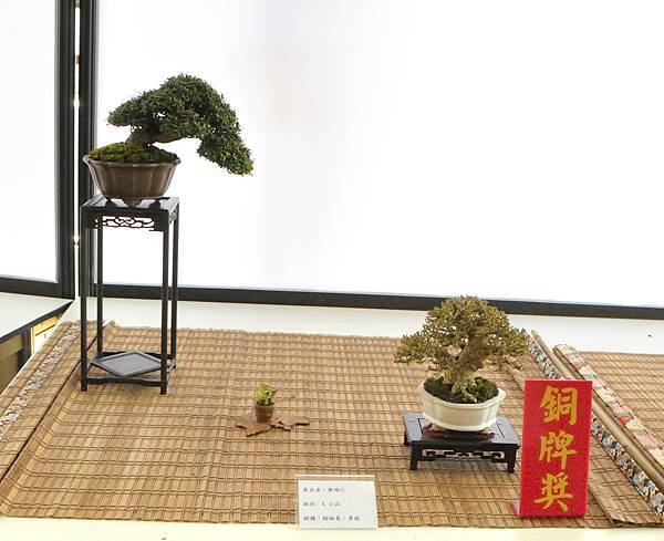 2025台中盆栽展_157.JPG