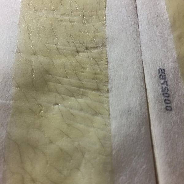 11692628_1620893061461266_1091451060344080316_n.jpg 試用