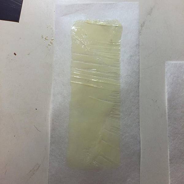 11705198_1620892584794647_2204209330171489725_n.jpg 試用