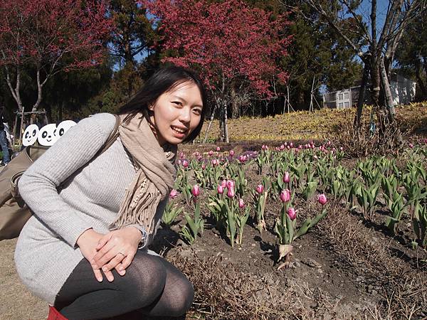 小瑞士花園