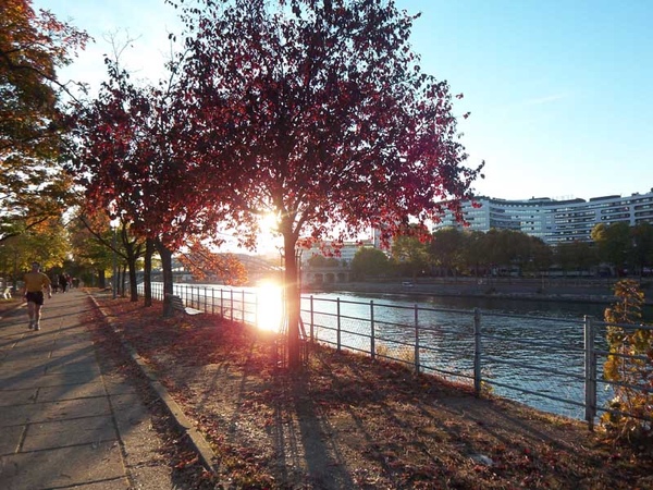 Allee des Cygnes under sunset 01