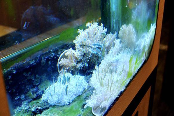 【中和必吃火鍋】海牧鍋物超狂蒙古孜然&養生藥燉湯底!美國安格