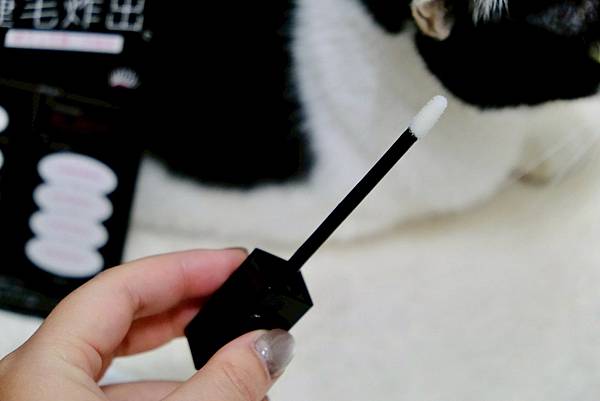 💥髮際線稀疏、眉毛空洞?這罐竟然不是只有睫毛在炸!我用「YV