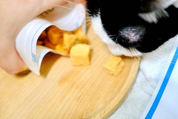 【貓奴救星來了】點點的居家香香術🧴+鮮魚凍乾補眼睛🐟🐱天然無
