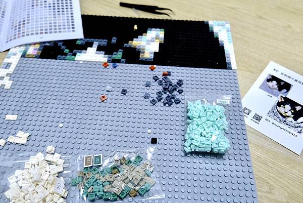 🌟【BrickNet 積木畫開箱】用一顆顆積木拼湊最深的回憶