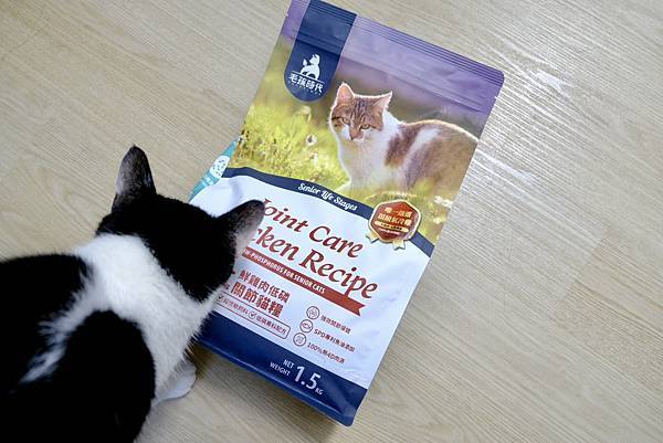 熟齡貓營養升級🐾毛孩時代低磷關節貓糧真心開箱!點點貓咪開吃啦