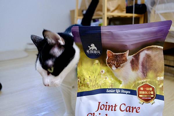 熟齡貓營養升級🐾毛孩時代低磷關節貓糧真心開箱!點點貓咪開吃啦