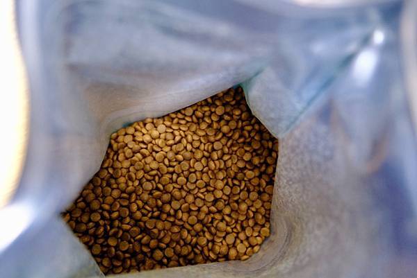 熟齡貓營養升級🐾毛孩時代低磷關節貓糧真心開箱!點點貓咪開吃啦