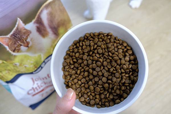 熟齡貓營養升級🐾毛孩時代低磷關節貓糧真心開箱!點點貓咪開吃啦
