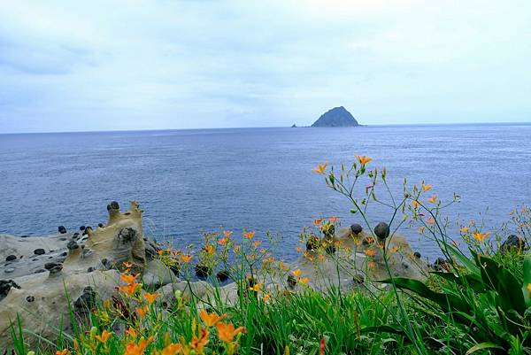 【和平島秘境攻略】四季旅行票一次看四季美景!299 元就能看