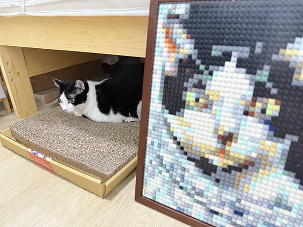 🌟【BrickNet 積木畫開箱】用一顆顆積木拼湊最深的回憶