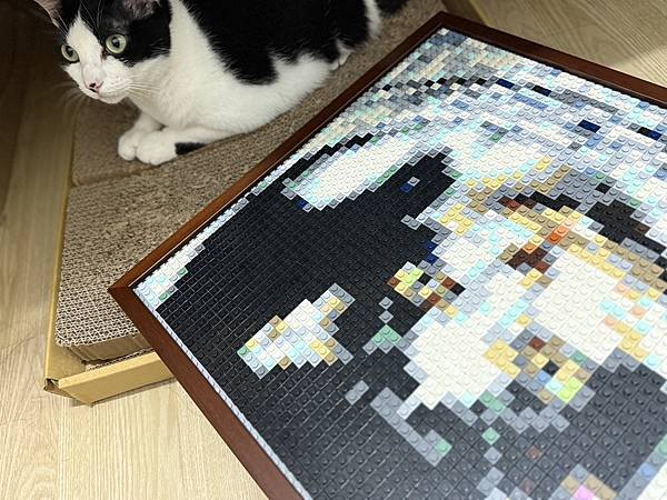 🌟【BrickNet 積木畫開箱】用一顆顆積木拼湊最深的回憶