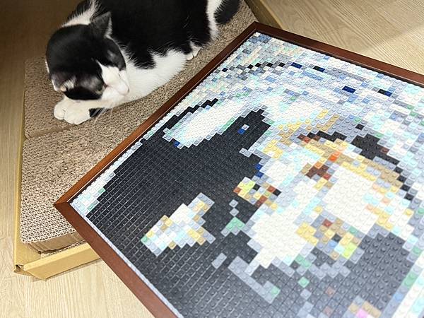 🌟【BrickNet 積木畫開箱】用一顆顆積木拼湊最深的回憶