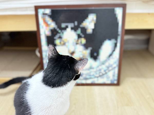 🌟【BrickNet 積木畫開箱】用一顆顆積木拼湊最深的回憶