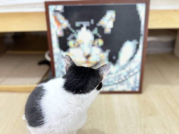 🌟【BrickNet 積木畫開箱】用一顆顆積木拼湊最深的回憶