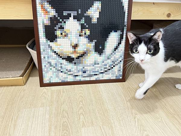 🌟【BrickNet 積木畫開箱】用一顆顆積木拼湊最深的回憶