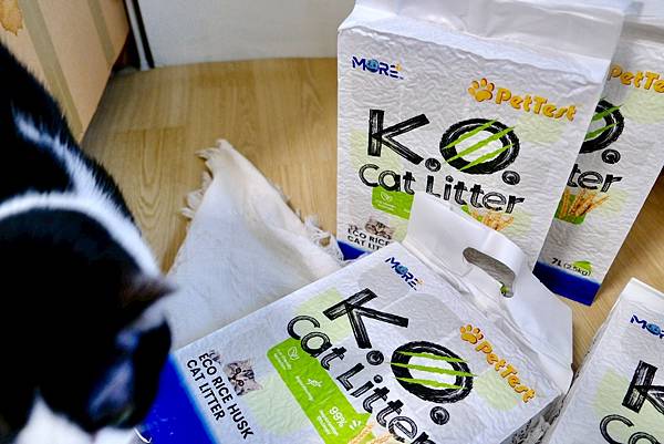 貓砂界的神救援!K.O.稻殼貓砂實測心得💥馬桶不卡、除臭力爆